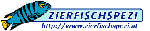 Logo Zierfischspezi Andreas Schwarz